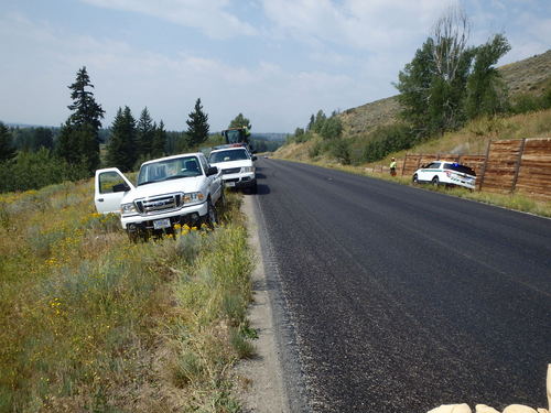 GDMBR: The Road Construction Crew had a Grizzly Bear amble through the work zone.